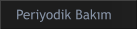 Periyodik Bakım