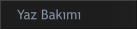 Yaz Bakımı