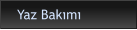 Yaz Bakımı